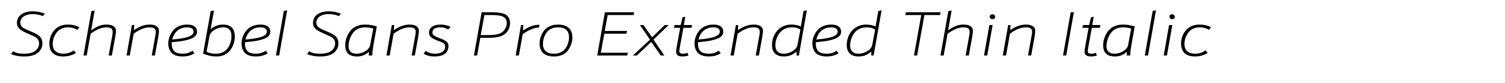 Schnebel Sans Pro Extended Thin Italic